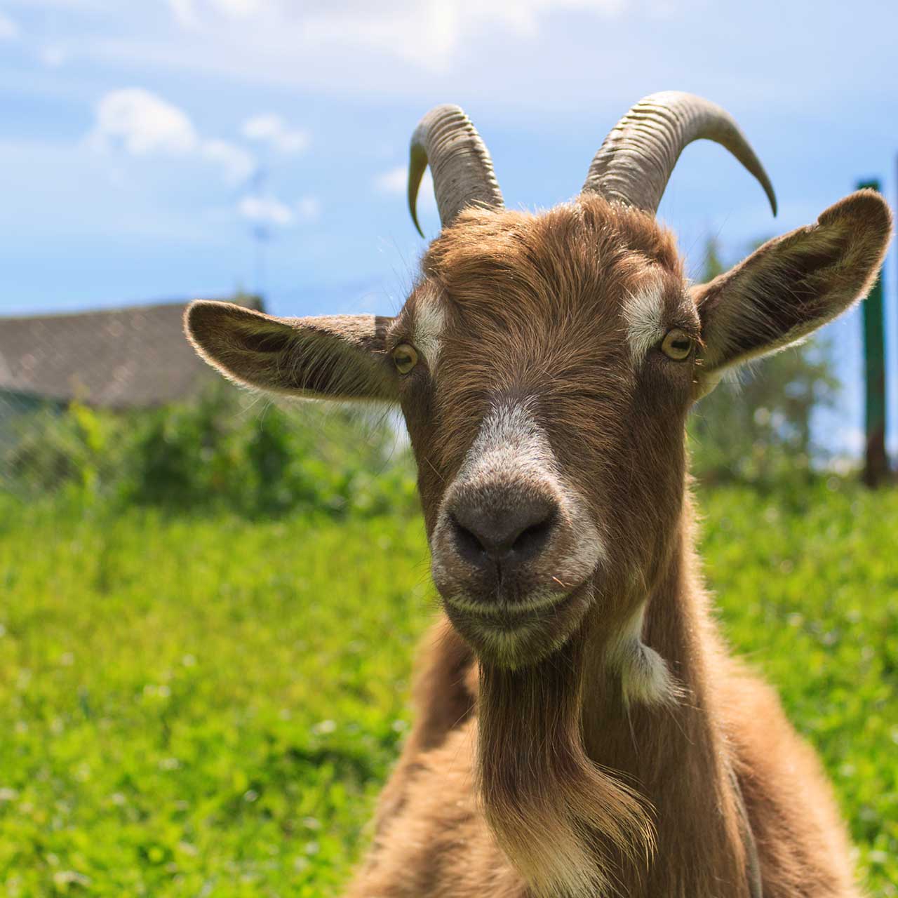 Espacio educativo La Cañabla